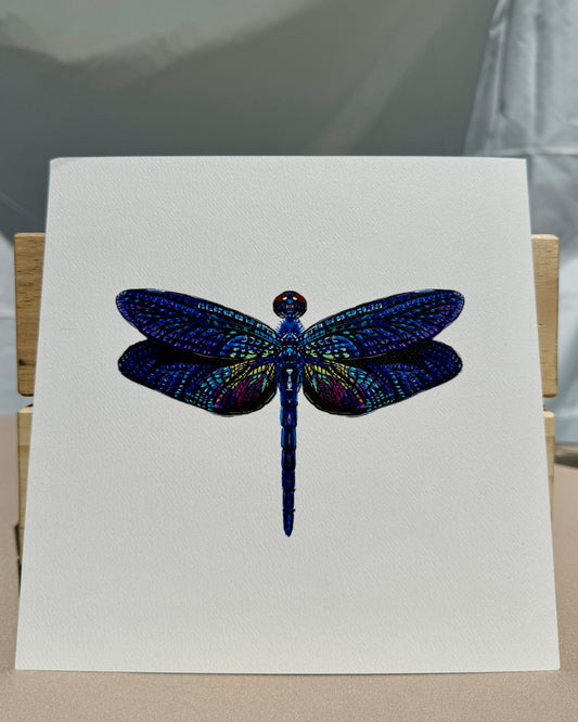 Rainbow Dragonfly Print